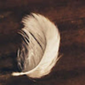 Meet your Posher, Joy